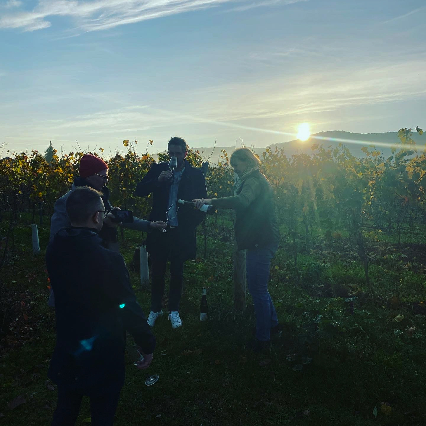 wine tour